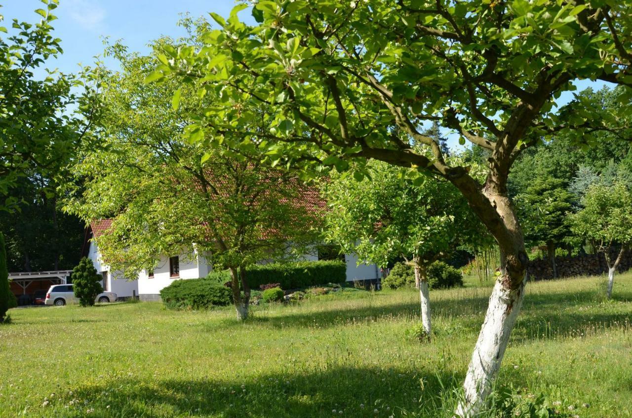 Kwatery Przy A4 Dabrowa Boleslawiecka Exterior photo